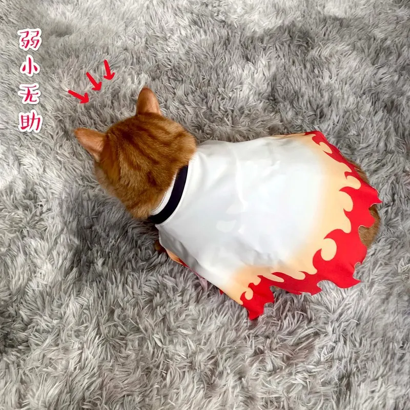 Anime Demon Slayer Kimetsu Č. Yaiba Hashibira Inosuke Kamado Tanjirou Agatsuma Zenitsu kočka domácí Mazlíčky, oblečení, Svetr, PROTOŽE Dárek