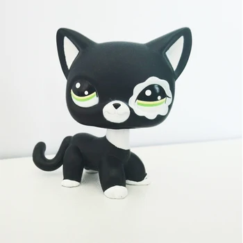 LPS KOČKA Littlest pet shop roztomilý hračky černé krátké vlasy kočka #2249 jiskru květina oči vzácné stojí starý originální doprava zdarma