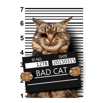 Oblečení Skvrny BAD CAT Vzor Žehlička Na Záplaty termotransferový Tisk DIY Samolepky na Oblečení Módní Styl Dekorace